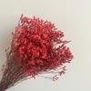 Ramo de flores eternas de hierba de cristal, arreglo floral, ramo de flores con material DIY, accesorios para fotos, flor para aromaterapia al por mayor