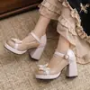 Zapatos de caramelo con encaje de lazo dulce plataforma tacones altos de suela gruesa Mary Jane zapatos de vestir 40-43 comercio exterior