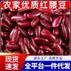 Frijoles Rojos Kidney Frijoles Pinto Rojos Granos Enteros para Porridge Casero Guisos Ingrediente para Hornear Venta al por Mayor