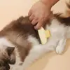Peine Universal para Aseo de Gatos y Perros Desenredante Quitapelos Herramienta Especial Pelo de Perro Pelo de Gato Peines Largos Cortos Rastrillo Mascota Venta al por Mayor
