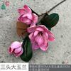 Tres grandes orquídeas de mano EVA de magnolia transfronterizas, comercio exterior al por mayor, flores falsas, tema de actividad, escena, diseño de flores de seda