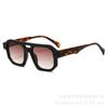 Óculos de Sol Europeus e Americanos Transfronteiriços Nova Moda Armação Grande Viga Dupla Lentes Bicolores Beleza Fashion Uv400 Estilo Moderno