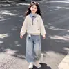 Estiloso Doce Estilo Coreano Individual para Meninas Moletom Patchwork Gola Polo Falso Duas Peças Conjunto Jeans Doce Fofo Tendência