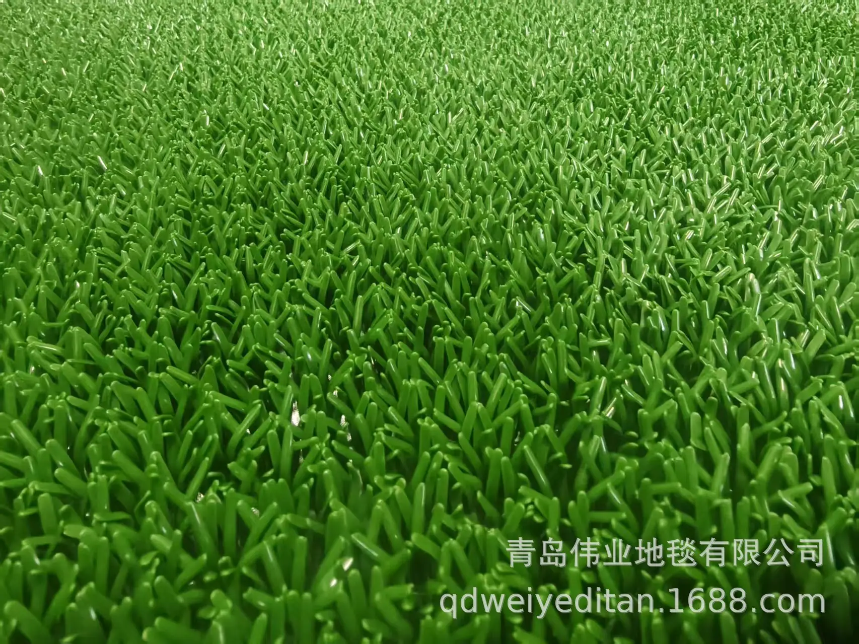 加粗加长粘金草加密增金布沾金毯河沙选金淘金草粘金草