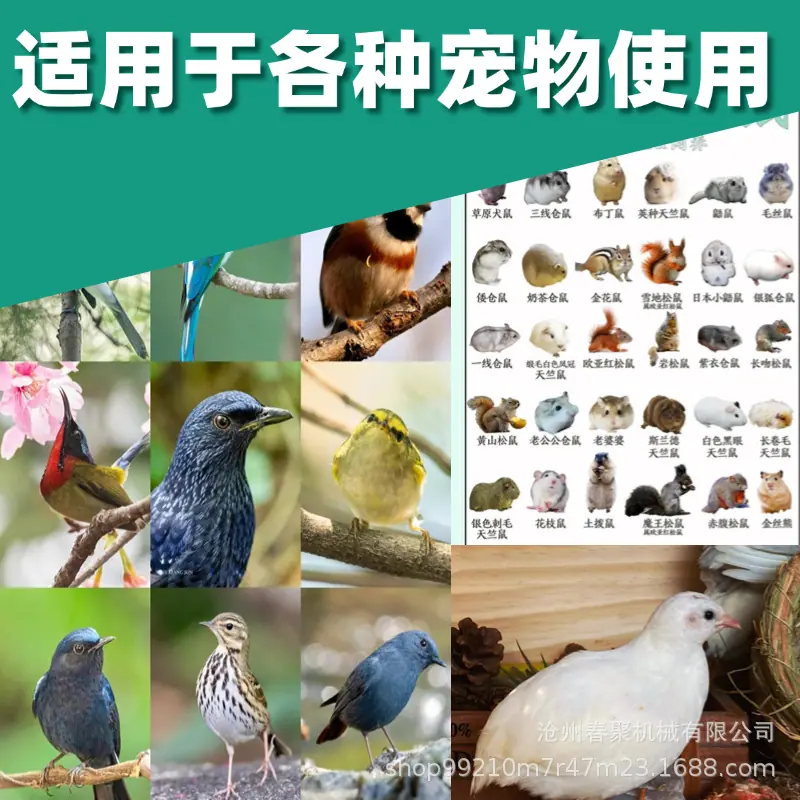 详情图11.jpg