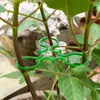 Herramientas de jardinería con hebilla fija transfronteriza, atador de plástico conveniente para zarcillos, soporte de pinza para tallo de vid al por mayor