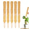 Caña de Trepar para Plantas Hecha a Mano Sin Látex Palo de Coco Palo de Palmera de Coco Extensible Palmera de Coco Rosa Verde Pilar de Jardinería Mayoreo