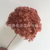 Flor Preservada Haste Única Hortênsia Anna Anna Folha Pequena Bella 40 Cores Personalizado Atacado Presente Dia dos Professores
