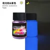 Polvo Luminoso Fluorescente de Alto Brillo de Larga Duración de 12 Colores Transfronterizo Polvo Fluorescente Pigmento Luminoso Aceitoso para Manualidades con Resina Epoxi DIY 20g