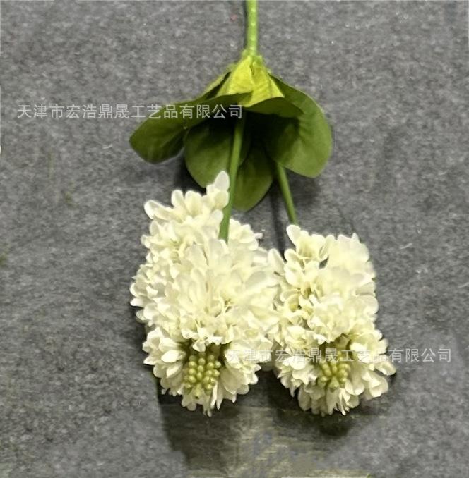微信图片_202307231340152(8)