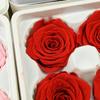 Flor Mágica Flor Eterna Grado AB 4-5 Rosa Caja Entera diy Bolsa de Material Floral Cubierta de Vidrio Día de San Valentín Unicornio