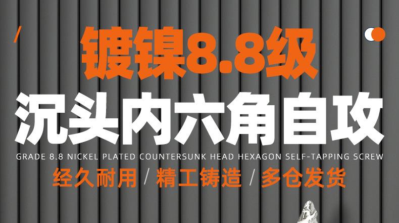 镀镍8.8级高强度沉头内六角自攻螺丝_01_01.jpg