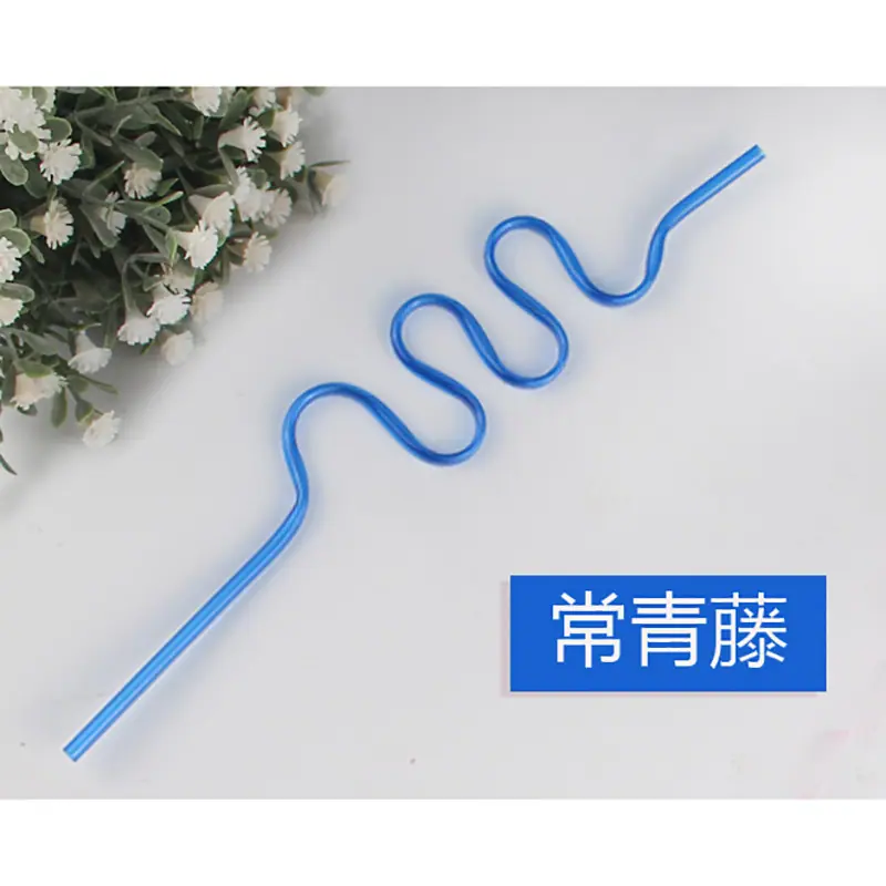 常青藤