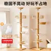 Tongtianzhu Estructura para trepar gatos Madera maciza Cama para gatos personalizada Árbol para gatos Espacio integrado Almacén Plataforma de salto para gatos No ocupa espacio Estructura para trepar gatos
