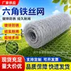 Tela Hexagonal Galvanizada, Tela para Galinheiro Revestida de Plástico, Tela Hexagonal Duplamente Torcida para Decoração de Casamento, Tela Hexagonal Torcida para Arranjo de Flores