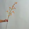 Simulación Estilo Chino Nuevo Arroz Fruta Vid Fruta Estilo Wabi-sabi Habitación Modelo Arreglo Floral Flor Decorativa Flor de Seda B&B Flor Seca
