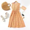 Comércio Exterior Roupas para Mulheres de Meia-Idade e Idosas, Roupas para Mães, Vestido de Comprimento Médio, Novo Estilo Solto de Verão, Afinando e Rejuvenescedor