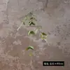 Clematis Verde Flor Artificial Planta de Parede para Casa Folha de Madressilva de Parede Arranjo de Decoração Suave Videira de Casamento Flor Falsa