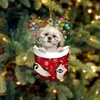 Navidad Transfronteriza Lindos Calcetines de Navidad Perro Árbol de Navidad Decoración Colgante Regalo Creativo Festivo