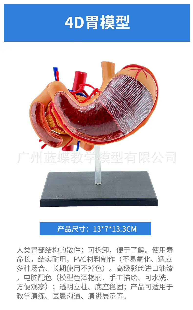 详情22