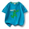 Camiseta de manga corta para niño Rainbow Friends, ropa de verano para niño 2023, nueva camiseta de algodón de media manga estilo occidental para niña.