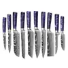 Amazon Transfronterizo Patrón Damasco Cuchillo de Chef Acero Inoxidable Juego de 10 Piezas Juego de Cuchillos Damasco