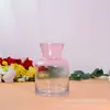 Vaso de Vidrio de Sodio-Calcio Transfronterizo al por Mayor Florero de Vidrio Simple Estilo Europeo Plantas Hidropónicas Flores Secas Florero de Flores Frescas Decoración