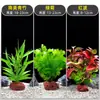 Plantas de Acuario, Decoraciones de Paisajismo con Césped Real, Plantas Aptas para Principiantes, Crisantemo Verde Ciempiés, Plantas de Sombra, Piedra Volcánica, Plantas Verdes Purificadoras de Agua