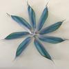 Dikute COTO pluma espiral inversa pluma de rollo pluma espiral DIY arco recurvo competitivo tiro con arco pluma cuasi espiral