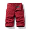 Overol de lino japonés de verano Daifa moderno Pantalones cropped versátiles simples para hombre 66051