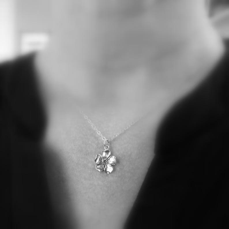 微信图片_20240706110554