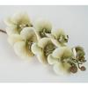 Flor artificial Phalaenopsis grande 7 mesa flor falsa decoração hotel flor pêndulo sentir Phalaenopsis atacado e varejo