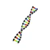 Componentes del Modelo de Estructura de Doble Hélice del ADN Biología de Secundaria Instrumento de Gen Genético y Mutación Equipo Experimental