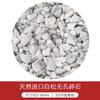 3-5mm cristal de ágata coral ojo de gato grava no porosa hecho a mano diy joyería accesorios para carcasa de teléfono móvil venta al por mayor