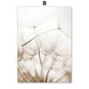 Amazon Transfronterizo Pintura Decorativa León Caña Diente de León Arte Pintura al Óleo Póster Nórdico Decorativo Pared Pintura Mural