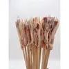 Brochetas populares para snacks en línea, brochetas comerciales, brochetas fritas, productos semielaborados, brochetas picantes revolucionarias, brochetas para olla caliente, brochetas de res picantes