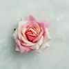 Flores Artificiais Cabeças de Rosa Revestidas Materiais para Guirlanda DIY Feita à Mão Decoração de Casamento Estilo Floresta Decoração de Parede de Flores Atacado