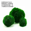 Bolas de Algas Verdes, Plantas Acuáticas, Botellas Ecológicas para Micro-Paisajismo, Bolas de Algas Verdes, Paisajismo de Acuarios, Plantas Vivas, Plantas Acuáticas Reales, Plantas de Agua Fáciles de Cuidar