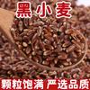 Bondad Horneada Harina de Centeno Harina de Trigo Integral con Salvado Harina de Trigo Negro Empaque Grande Comercial Una Pieza Dropshipping Oem