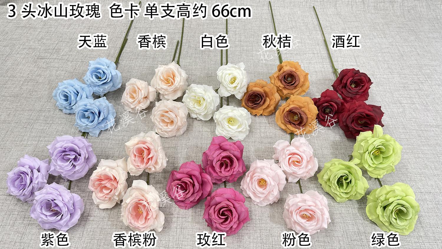 3头冰山玫瑰-sxxrx 色卡 花溪谷.jpg