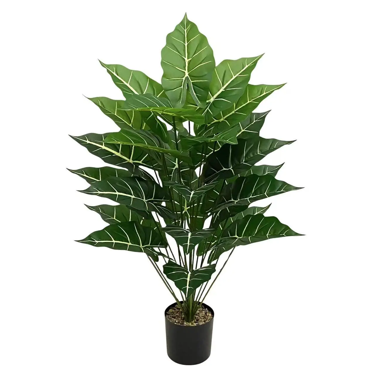 微信图片_20251119101958