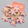 Venta al por mayor del fabricante de Película 3D Realista, Pétalos de Lirio Artificiales, Piezas de Flores Falsas, Tocados Decorativos de Flores, Flores para Pasador, Flores de Seda y Materiales Hechos a Mano
