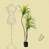 Estilo Nórdico Simulação Planta Verde Dracenas Sala de Estar Falsas Biônicas Dracenas Árvore Orquídea Tiyang Enfeites de Chão Plantas Falsas em Vaso