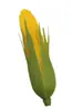 Verduras, maíz, tomates, rábanos, zanahorias, pimientos, raíz de loto, col, modelos de plástico de verduras