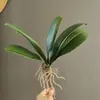 Hojas de Orquídea Phalaenopsis Verdes Artificiales al por Mayor, Hojas de Orquídea de Tacto Realista, Flores Falsas para Decoración del Hogar, Accesorios para Arreglos Florales, Arreglo Paisajístico Decorativo