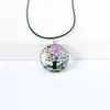 Colar Cruzado de Flores Secas, Plantas, Casca de Árvore, Corda, Pedra do Tempo, Pingente de Vidro Joias DIY