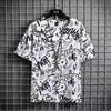 Camiseta de Verão com Manga Curta Van Kesi Masculina Marca Tendência Solta Gola Redonda Criativa Estampada por Completo Manga Meia Manga Top Masculino