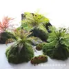 Musgo Sintético Decoración Suave para Interiores Conjunto de Micro-Paisajismo Combinación Ventana Pasillo Musgo Falso Planta Verde Decoración de Paisajismo Arreglo