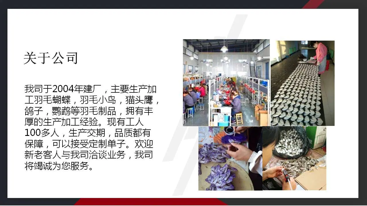 公司介绍