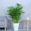 Maceta de flores para jardinería, de interior y oficina, con rosca, de plástico y cerámica de imitación, en blanco y negro, venta al por mayor